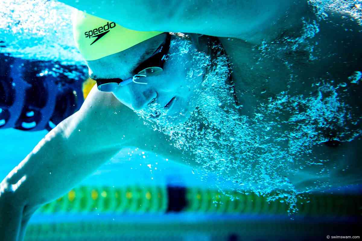 Do You Love Swimming? See 365 Swim Jobs You Might Love