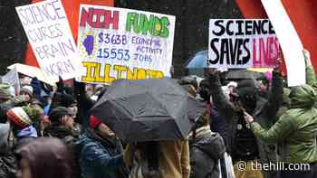 Most in DC area say they've been hurt by federal job cuts, furloughs: Gallup