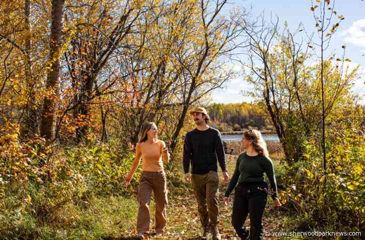 Nature within reach: Gather, reflect, and look ahead