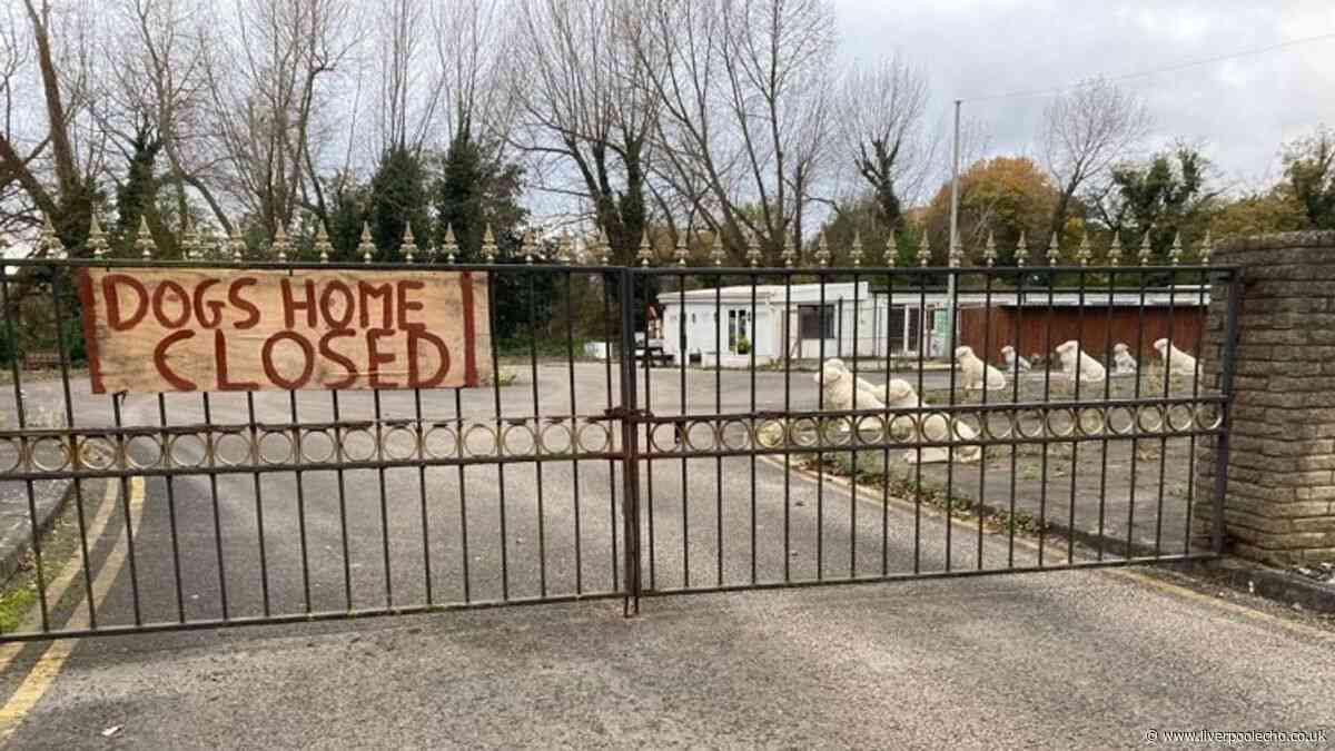 Dozens of new houses could be built on former Halewood dogs' home