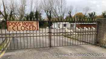 Dozens of new houses could be built on former Halewood dogs' home