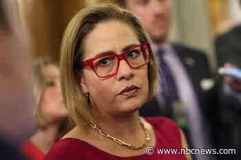 Ex-boyfriend of former Sen. Kyrsten Sinema allegedly threw 22 of her paintings in a pool