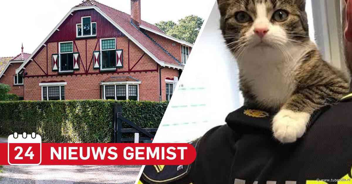 Gemist? Eigenaar pannenkoekenrestaurant Buurse wist van grote hennepkwekerij & katten besmeurd in Hengelo