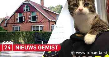 Gemist? Eigenaar pannenkoekenrestaurant Buurse wist van grote hennepkwekerij & katten besmeurd in Hengelo