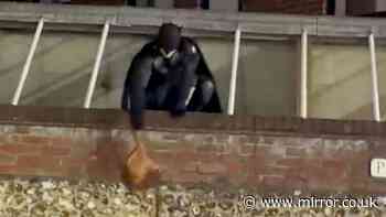 Partygoer dressed as Batman saves the day when he catches bag snatcher in the street