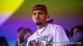 Judge Poised to Slash $12.9 Million Jury Award in Chris Brown Dog Mauling Case