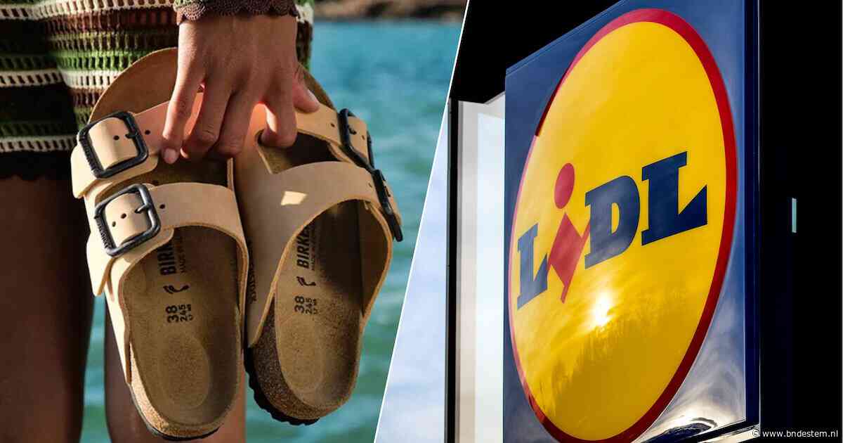 Lidl mag geen imitatie-Birkenstocks meer verkopen in Nederland