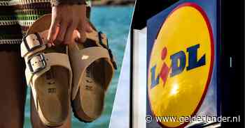 Lidl mag geen imitatie-Birkenstocks meer verkopen in Nederland