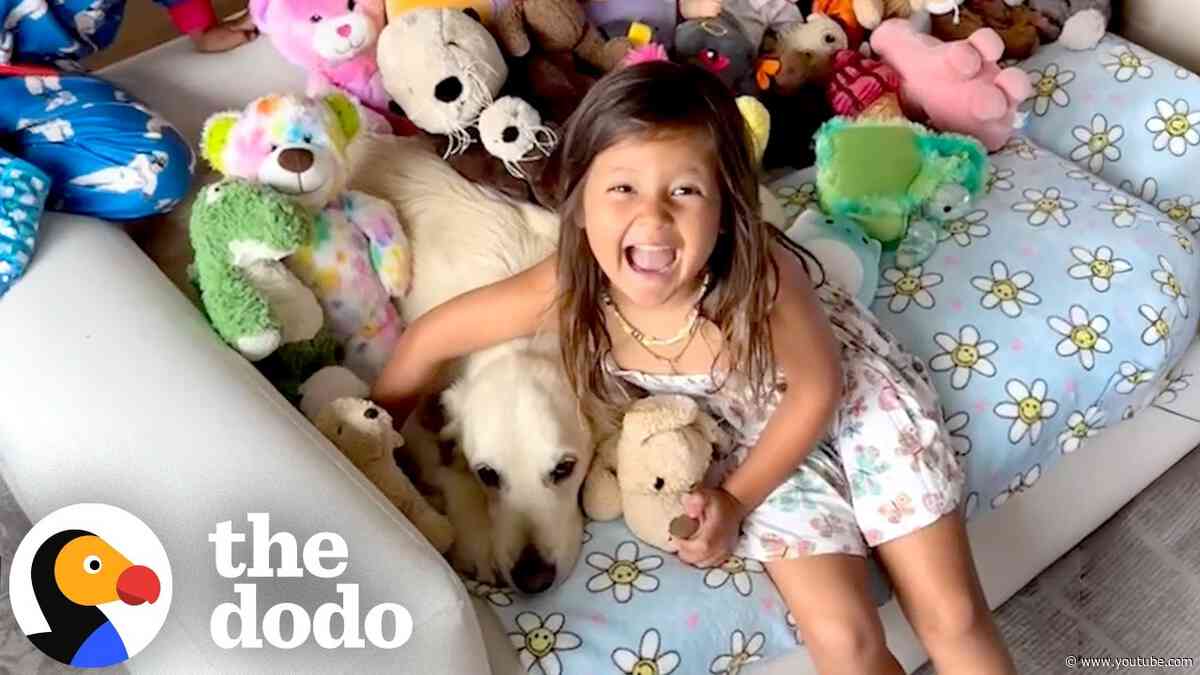 5 Perks Of Having A Toddler Sibling (According To A Dog) | The Dodo
