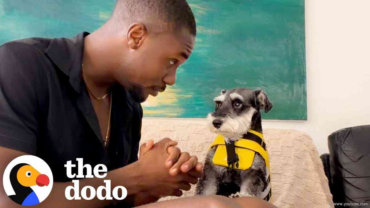 Dad Talks Through All Of Life’s Problems With His Dog... As He Should | The Dodo