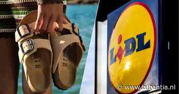 Lidl mag geen imitatie-Birkenstocks meer verkopen in Nederland