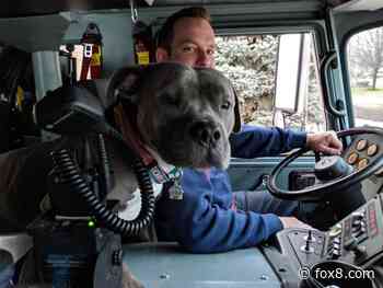 'He passed with seven grown men crying': Oakwood Fire mourns station pup