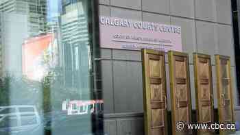 Calgary rapist who caused 'life-altering injuries' to victim gets 12-year prison sentence