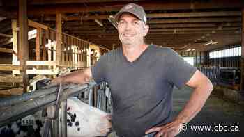 Canadian producers, retailers feel impacts of protein boom as dairy tariffs hit
