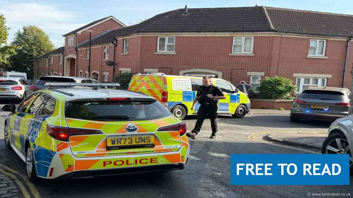 Armed police swarm Bristol street as school locked down