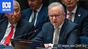 Live: Albanese to urge world leaders to band together on AI