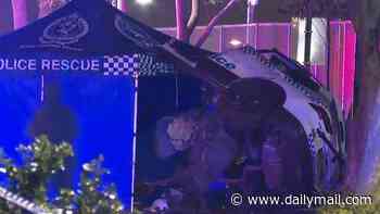Policewoman killed after patrol car smashes into a tree and is torn in half in Sydney