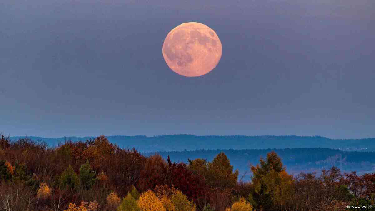 Erntemond leuchtet in der Nacht: Bedeutung des Himmelsphänomens früher und heute