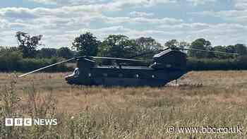 Chinook helicopter lands in field after bird strike