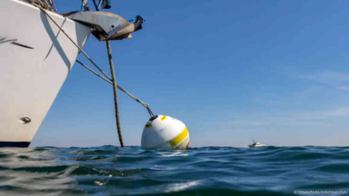 At Studland Bay, replacing damaging boat anchors with eco-moorings cut scars in seagrass by 94%