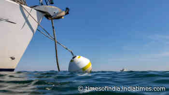 At Studland Bay, replacing damaging boat anchors with eco-moorings cut scars in seagrass by 94%