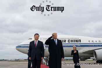 Trump's Altered-Looking Xi Photo Revives Harp Rumours as Woman in Frame Is Identified