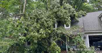 Trees take out Wake County woman's home, car. Is 'Falling Limb Syndrome' to blame?