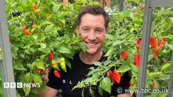 Hot chilli legacy of summer heatwave