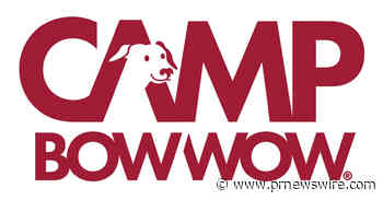 INSIDE CAMP BOW WOW'S OVERNIGHT BOARDING: LIVE WEBCAMS GIVE PET PARENTS 24/7 PEACE OF MIND