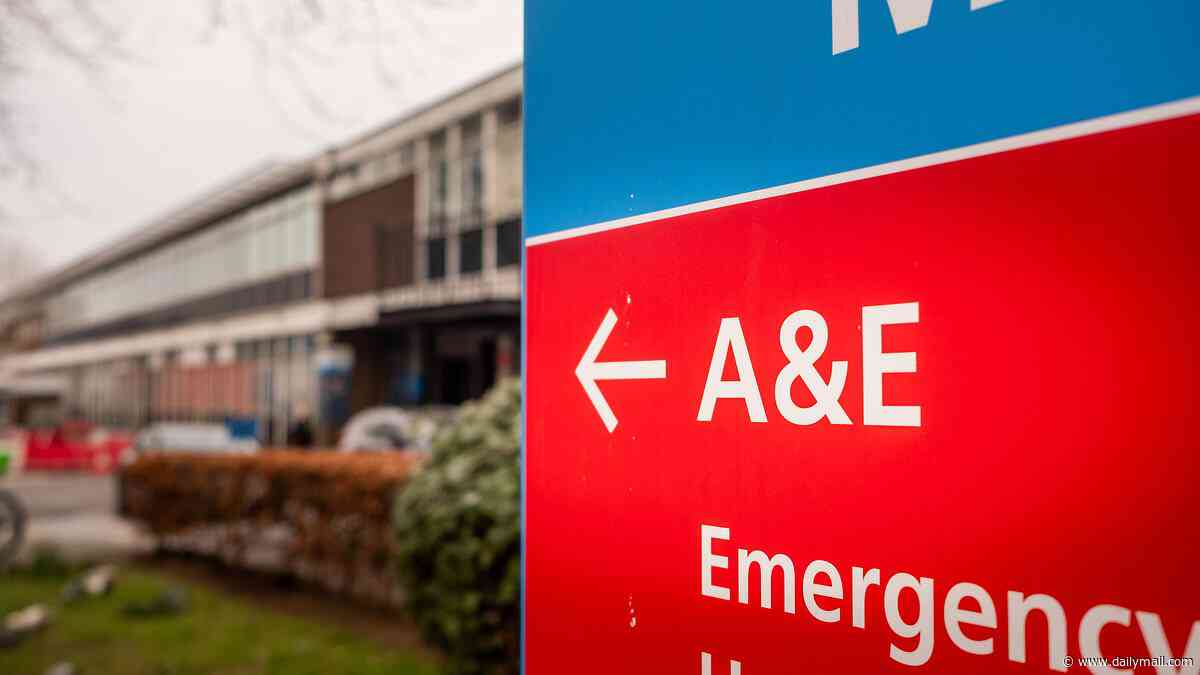 Overcrowding and corridor care in A&E 'killing around 550 patients in the UK every week', study reveals