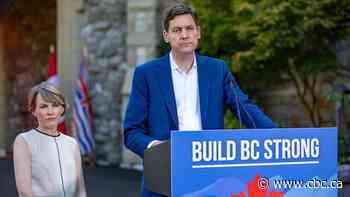 New poll shows two-thirds not in favour of early election in B.C.