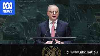Albanese laments 'breakdown' of global rules in major UN speech