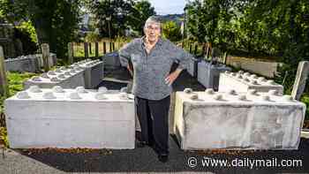 Retired teacher's three-year legal hell after council blocked garden gate used by her family for 60 years