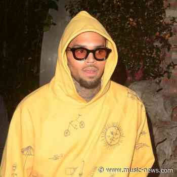 Judge set to reduce $12.9m award in Chris Brown dog mauling case