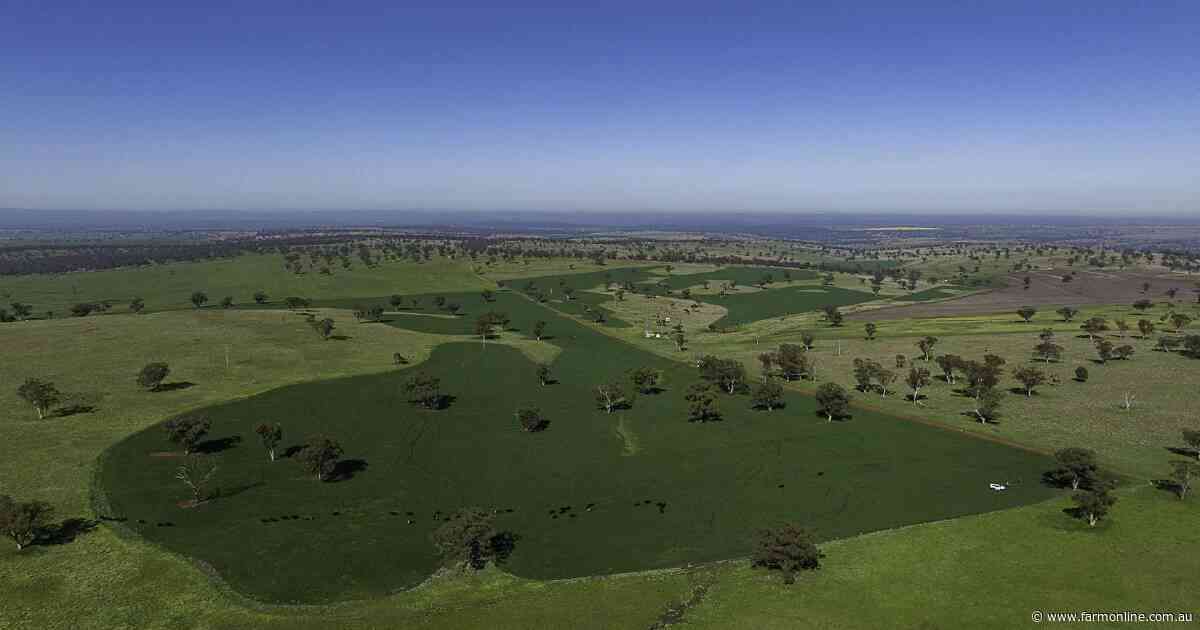 Productive 2980 acre livestock, cropping property with potential | Video
