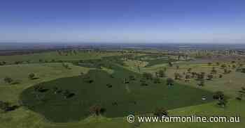 Productive 2980 acre livestock, cropping property with potential | Video