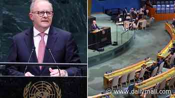 PETER VAN ONSELEN: Albo's soaring rhetoric falls flat at the United Nations in front of a crowd of tinpot dictators and despots