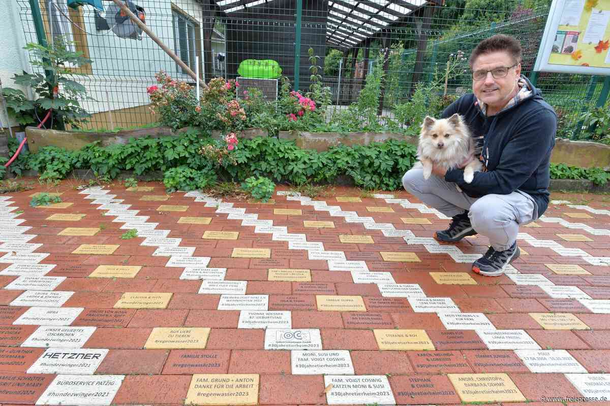 Zehntes Streunersteinfest im Tierheim Freiberg: Programm für Tierfreunde