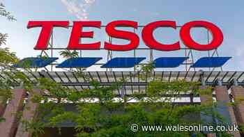 I shop at M&S and Sainsbury's but always go to Tesco for 62p cupboard staple