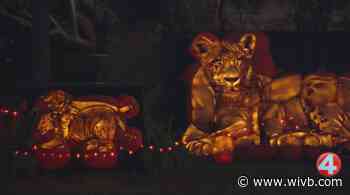 Buffalo Zoo hosts Enchanted Pumpkin Trail