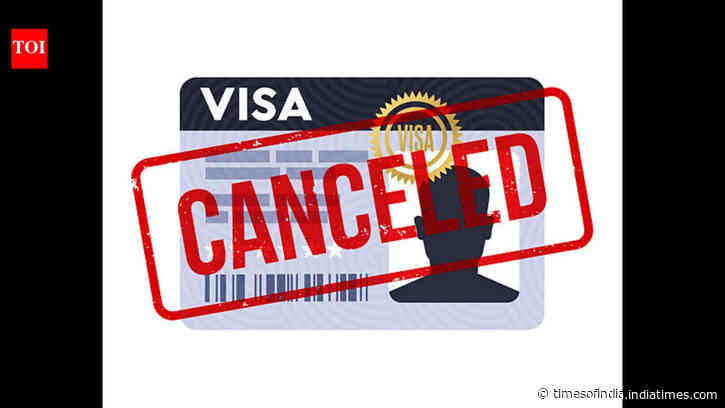 US tightens visa rules on ‘birth tourism’: Who could be affected and what Indian travellers need to know