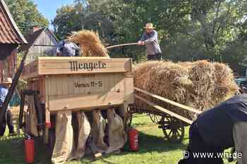 Großes Erntedankfest am Mühlenhof: Trecker, Handwerk und Mitmachaktionen