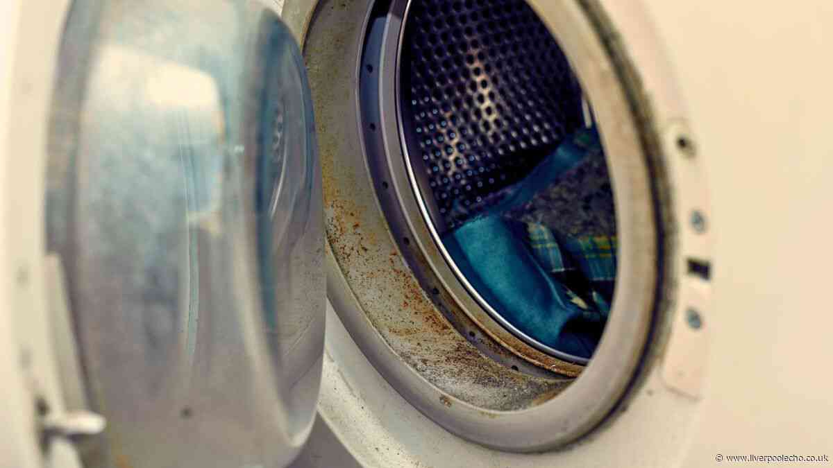 Mould will never appear in your washing machine if you do 1 simple task after every use
