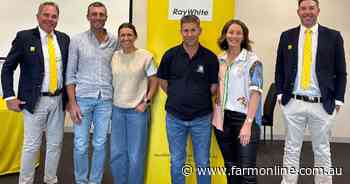 Auction pause delivers $4000/acre auction result for SA Mid North farm