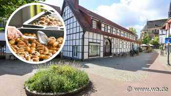 Großes Kartoffelfest zwischen prachtvollen Fachwerkhäusern – mit verkaufsoffenem Sonntag