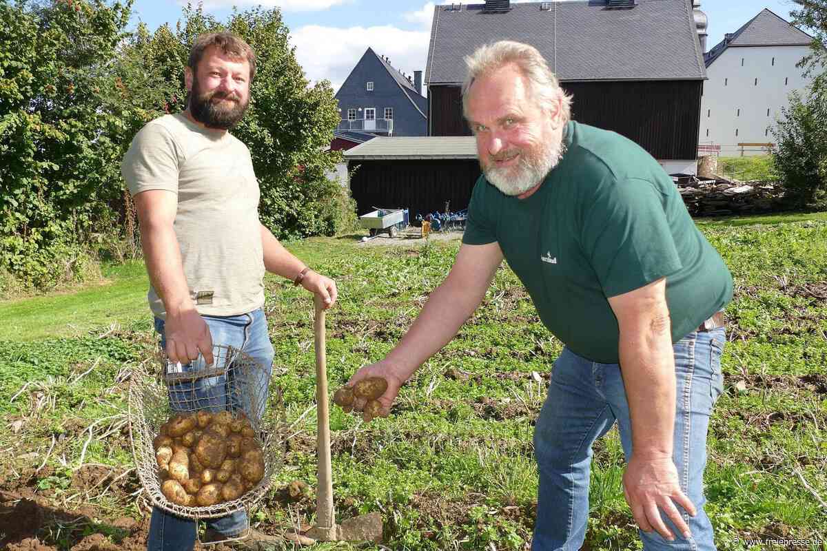 Roden, Essen, Feiern: Ort im Erzgebirge wird zur Kartoffelhochburg