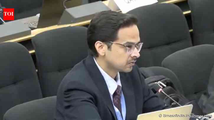 ‘Kashmiri Pandits driven out by Pakistan-backed terrorists’: India at UN