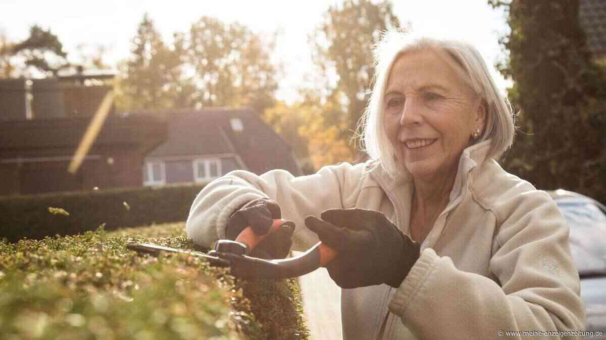 Sträucher schneiden: Was im Herbst sinnvoll ist