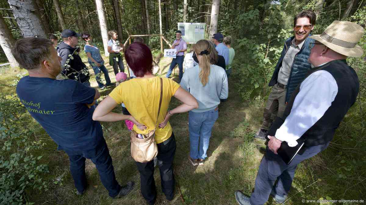 Der Wald der Zukunft wächst in der Region