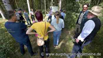 Der Wald der Zukunft wächst in der Region